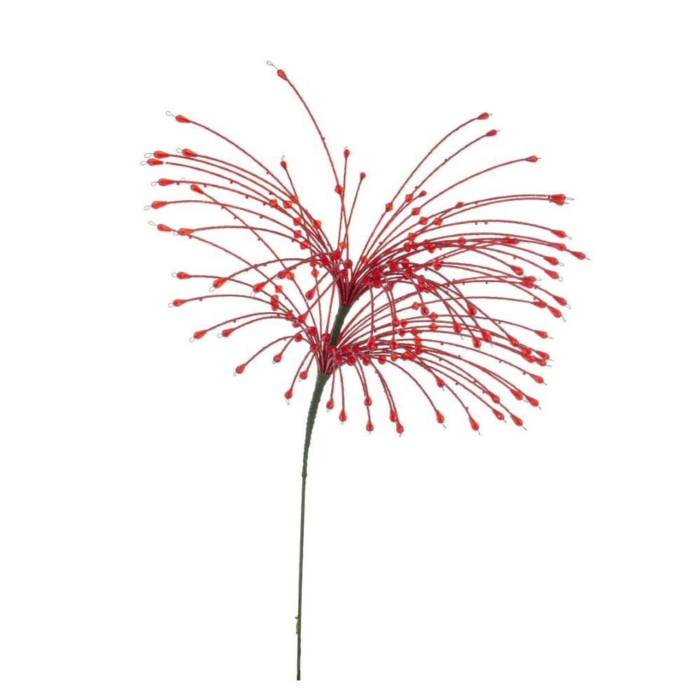 RAMO ZACARY ROSSO H.63